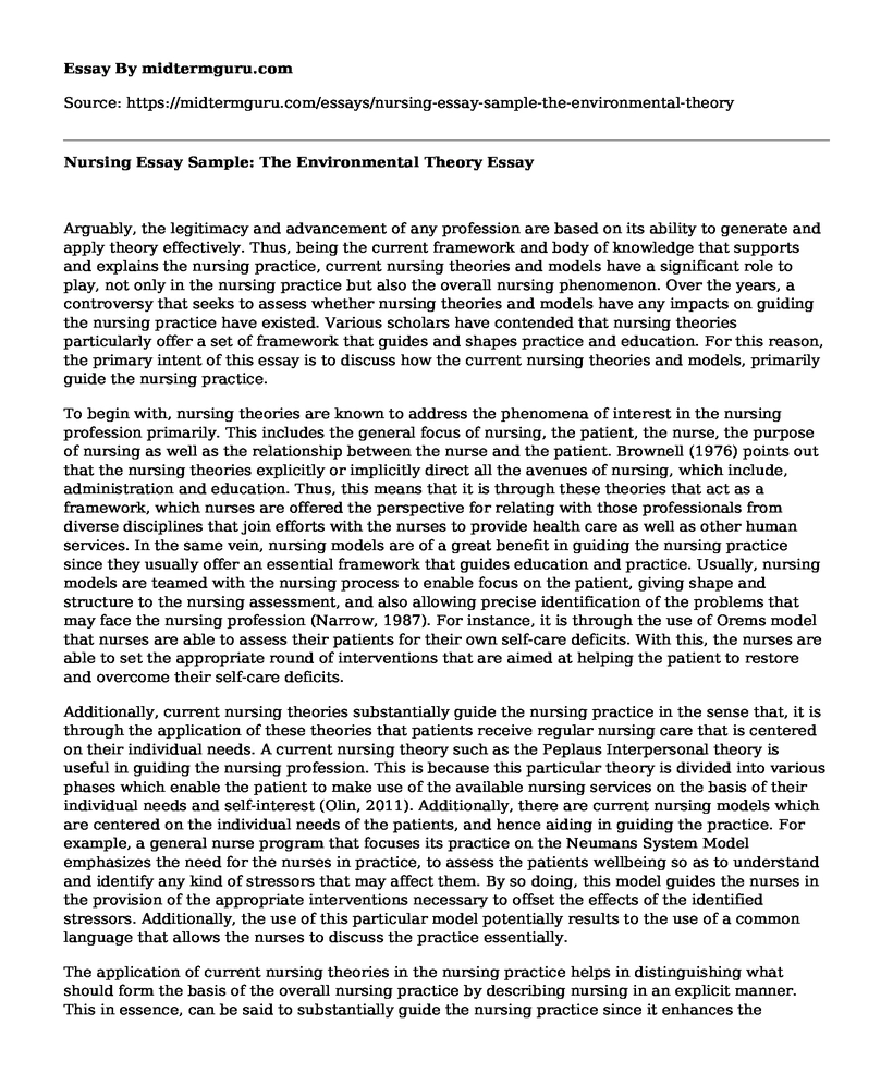 Nursing Essay Sample: The Environmental Theory