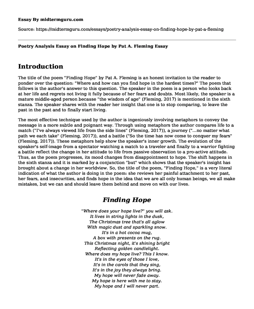 Poetry Analysis Essay on Finding Hope by Pat A. Fleming
