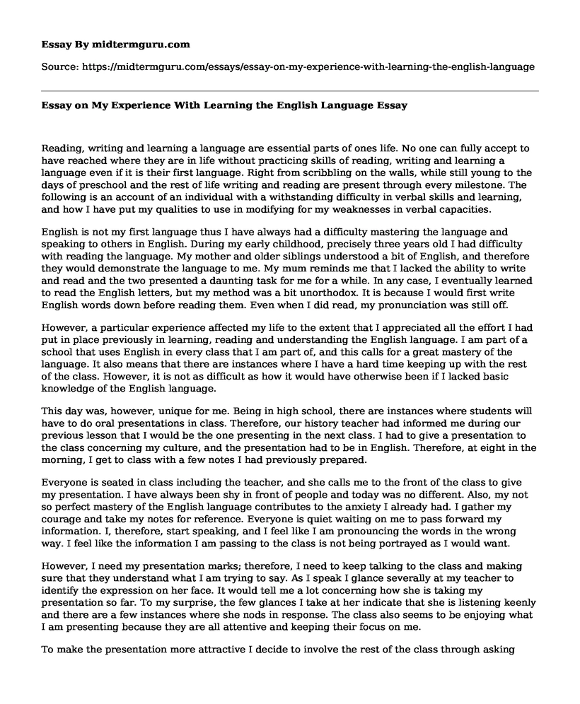 Essay on My Experience With Learning the English Language