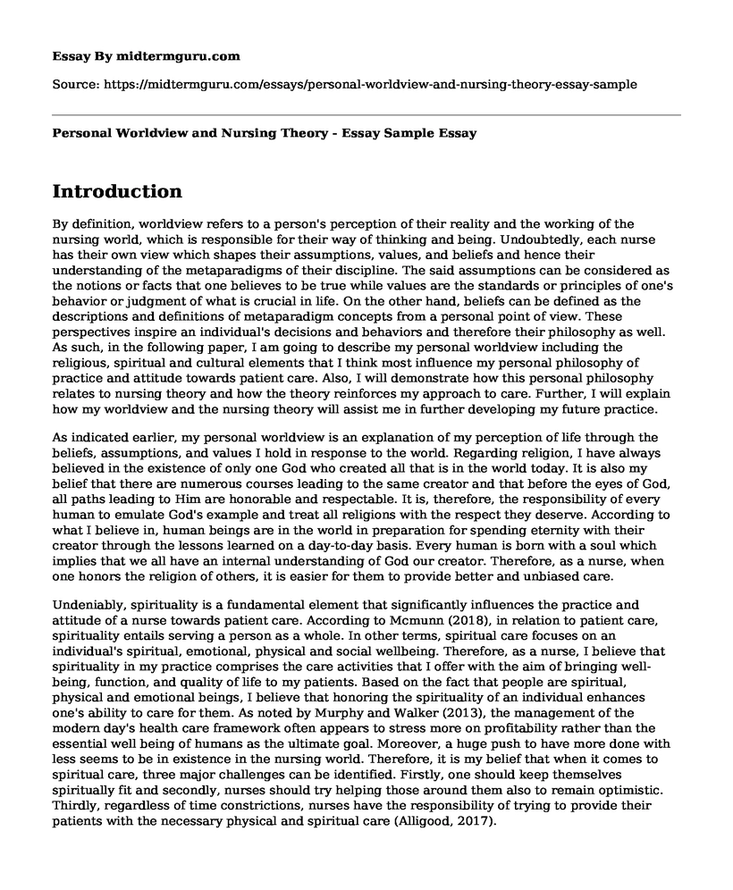 Personal Worldview and Nursing Theory - Essay Sample