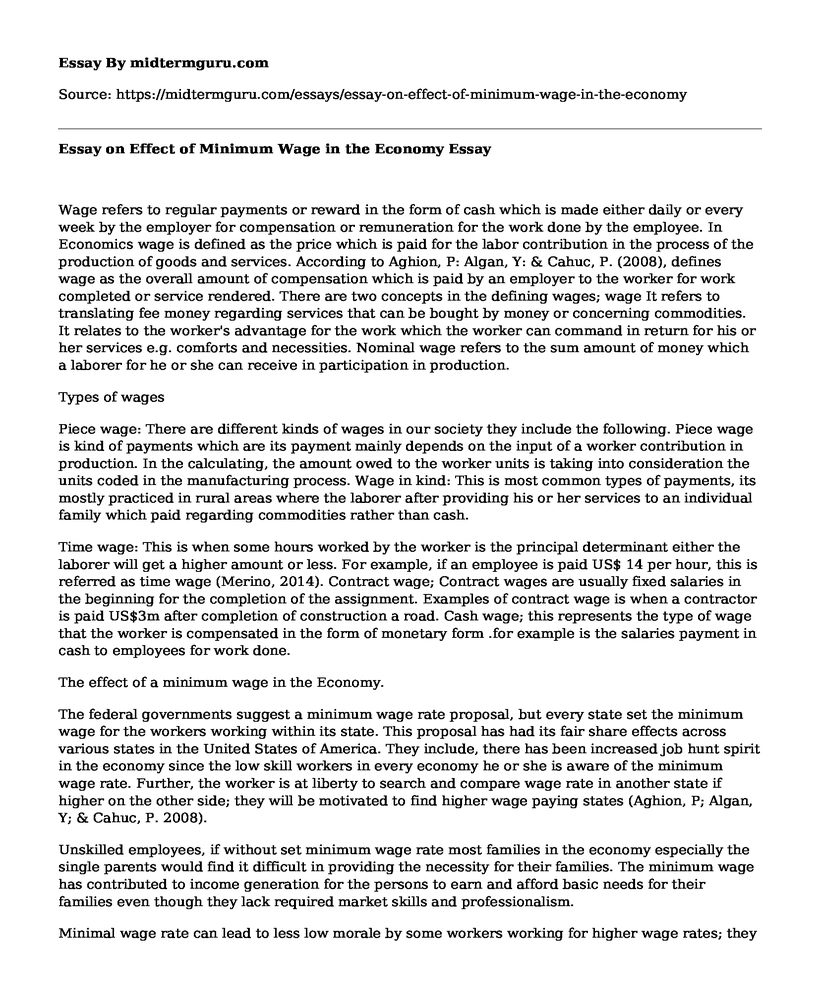 Essay on Effect of Minimum Wage in the Economy