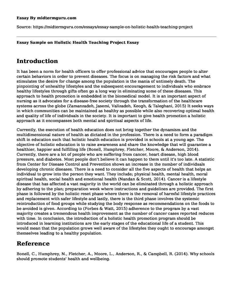 Essay Sample on Holistic Health Teaching Project