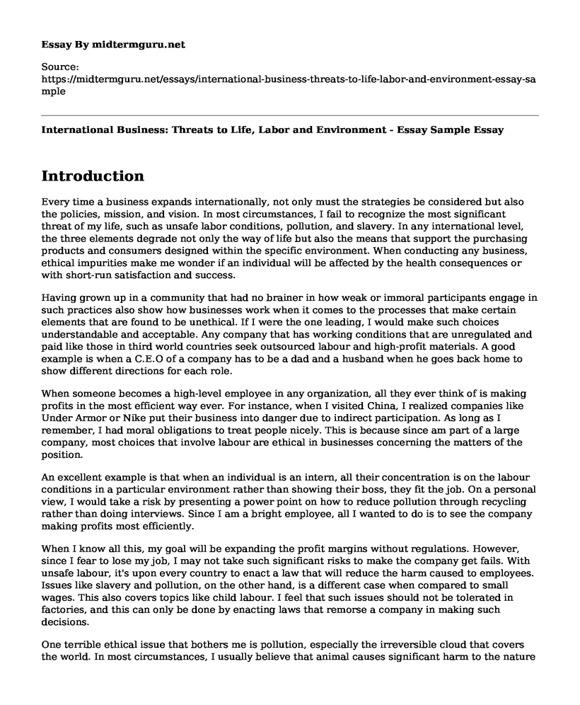 International Business: Threats to Life, Labor and Environment - Essay Sample