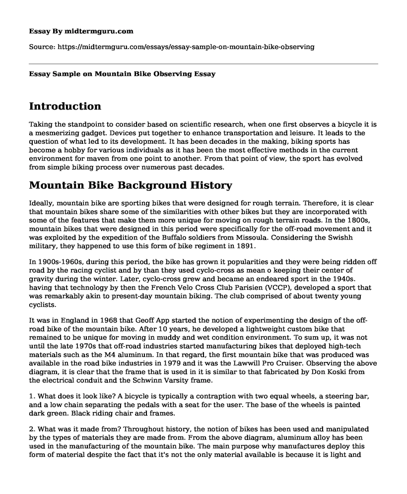 Essay Sample on Mountain Bike Observing
