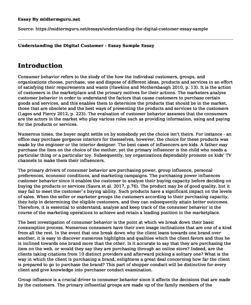 Understanding the Digital Customer - Essay Sample