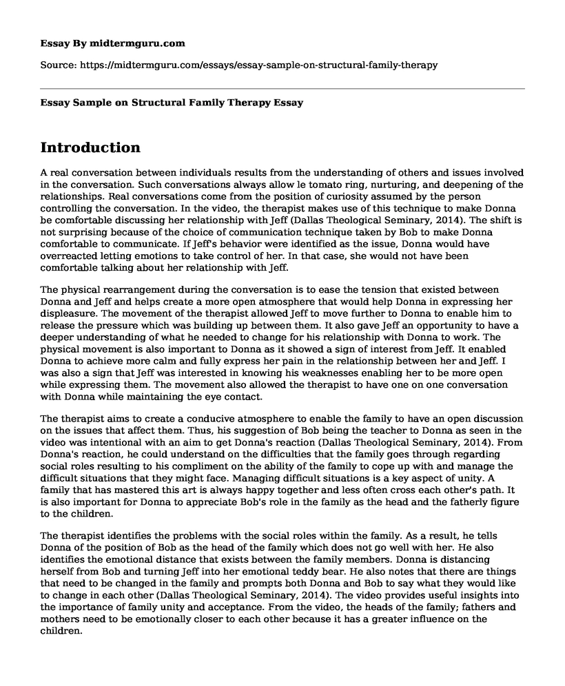 Essay Sample on Structural Family Therapy