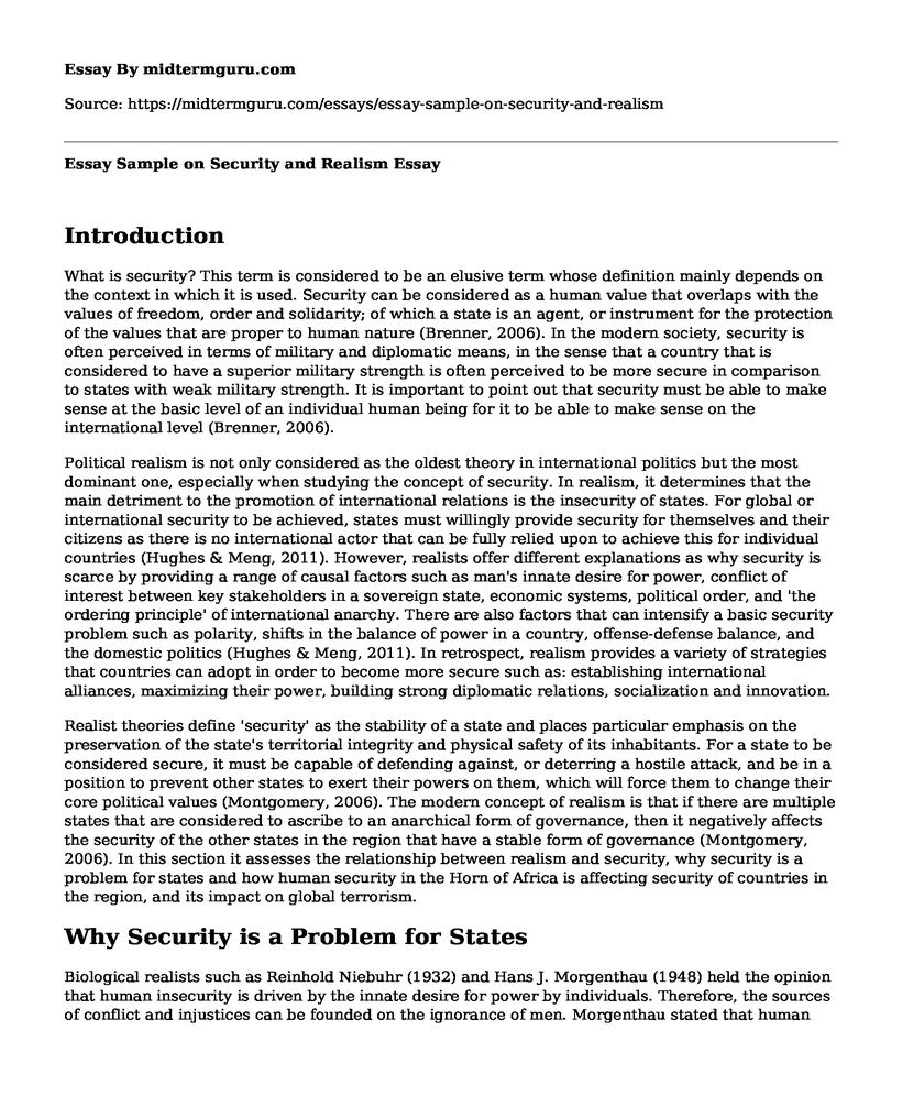 Essay Sample on Security and Realism