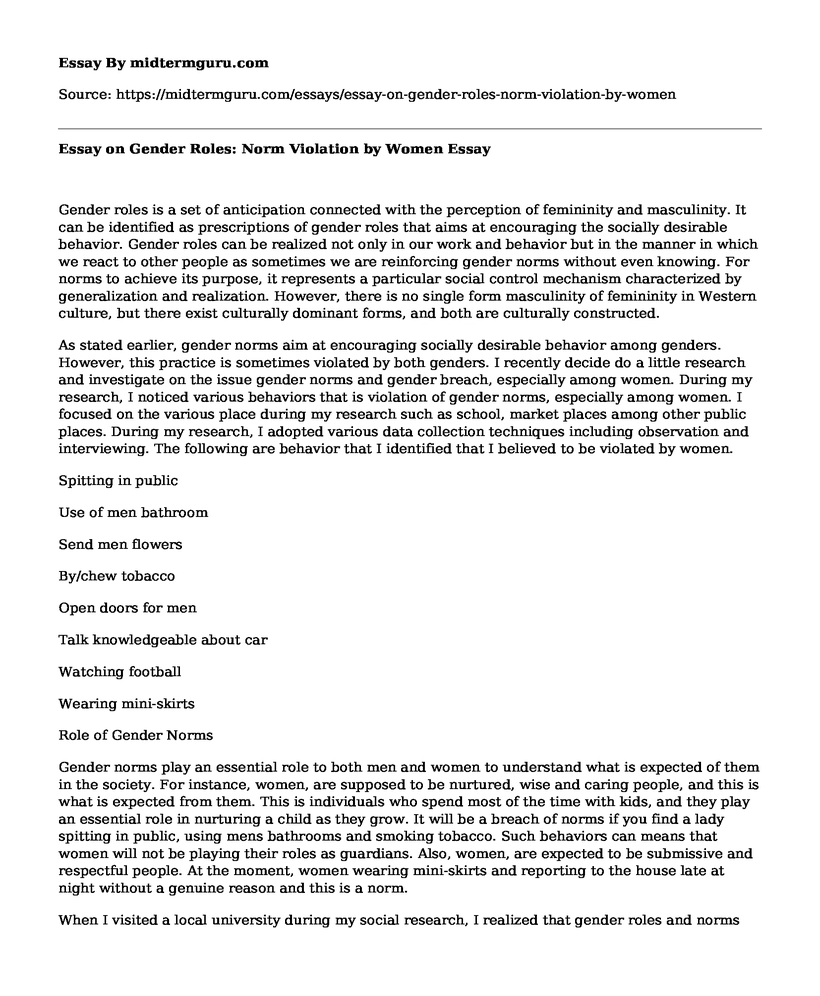 Essay on Gender Roles: Norm Violation by Women