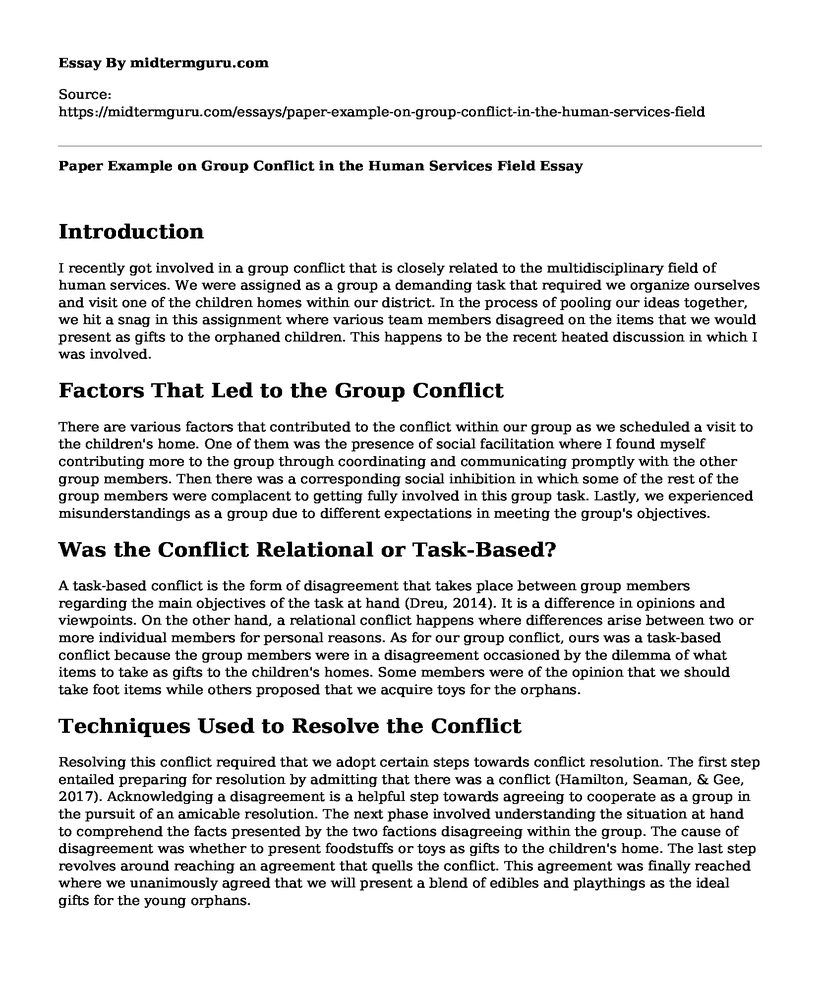 Paper Example on Group Conflict in the Human Services Field
