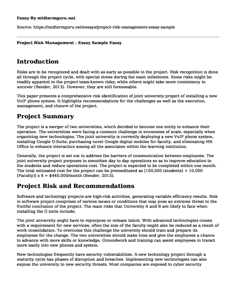 Project Risk Management - Essay Sample 