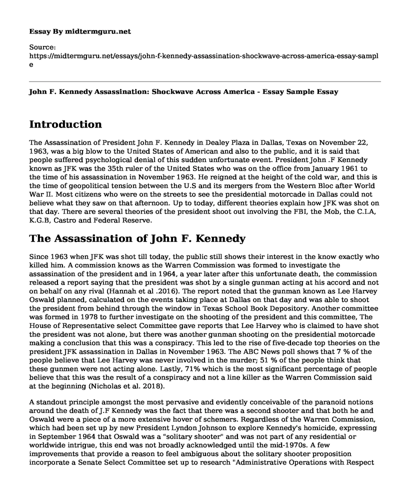 John F. Kennedy Assassination: Shockwave Across America - Essay Sample