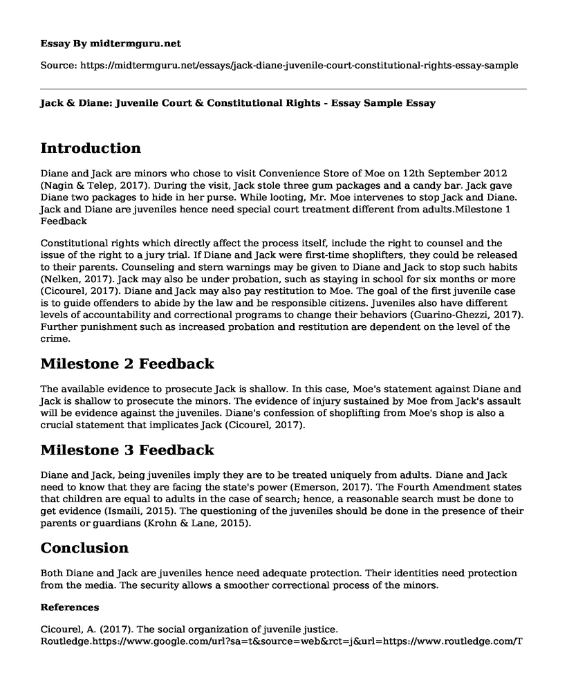 Jack & Diane: Juvenile Court & Constitutional Rights - Essay Sample