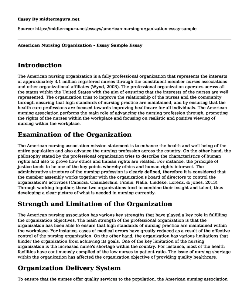 American Nursing Organization - Essay Sample