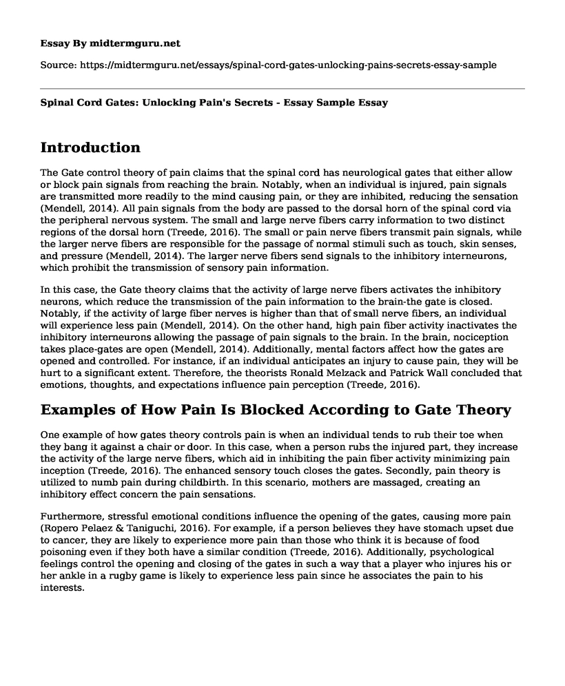Spinal Cord Gates: Unlocking Pain's Secrets - Essay Sample