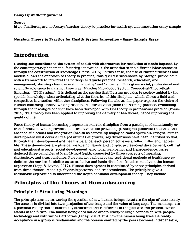 Nursing: Theory to Practice for Health System Innovation - Essay Sample