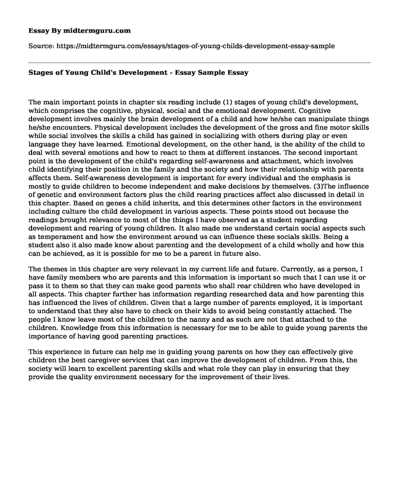 Stages of Young Child's Development - Essay Sample