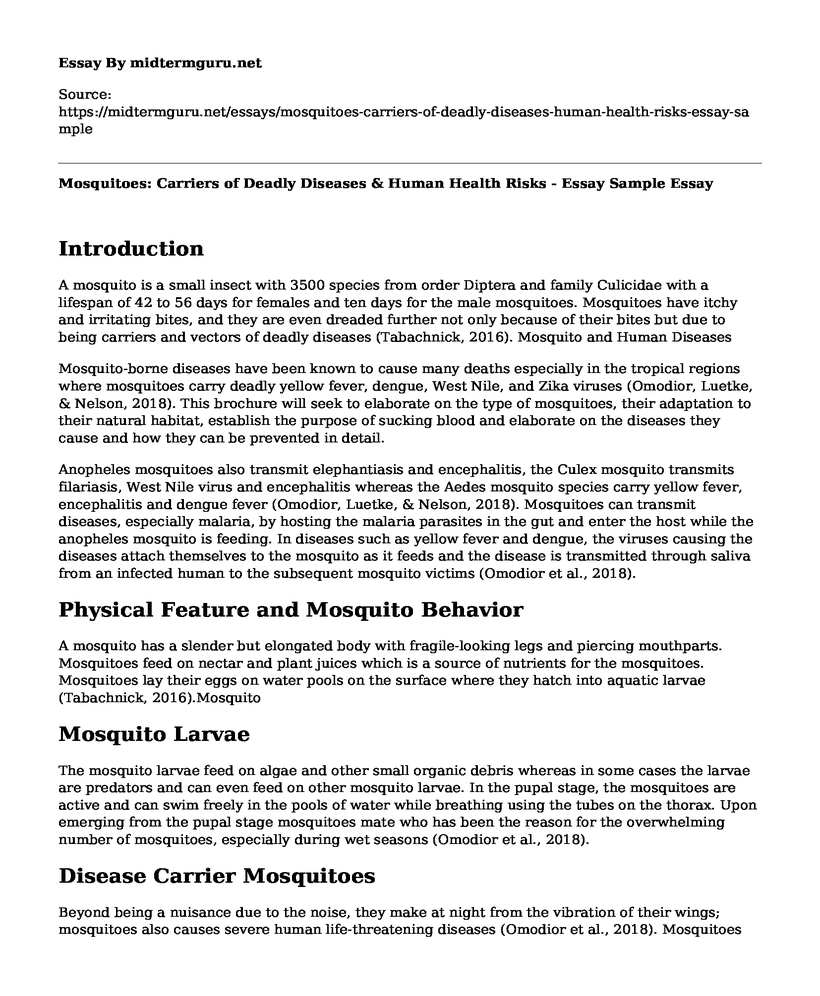 Mosquitoes: Carriers of Deadly Diseases & Human Health Risks - Essay Sample