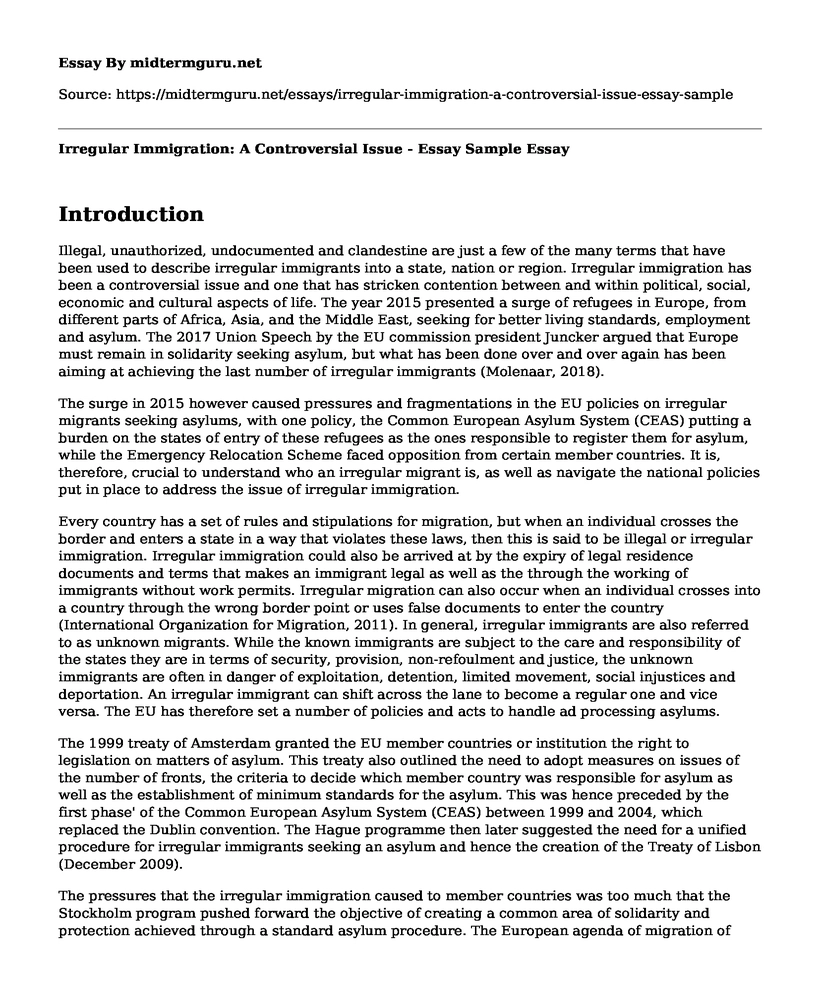 Irregular Immigration: A Controversial Issue - Essay Sample