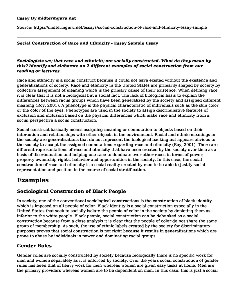 Social Construction of Race and Ethnicity - Essay Sample