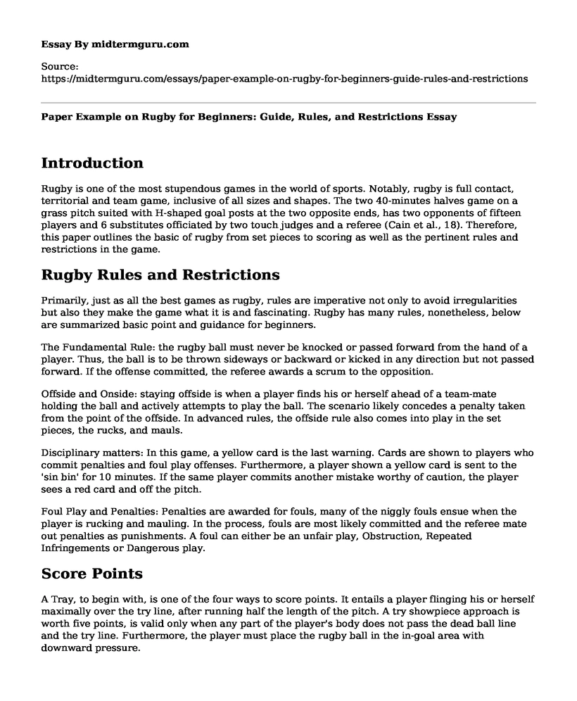 Paper Example on Rugby for Beginners: Guide, Rules, and Restrictions