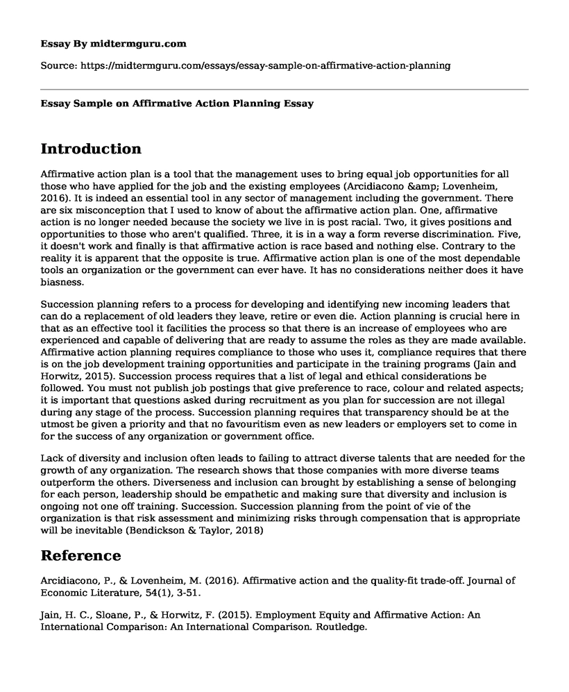 Essay Sample on Affirmative Action Planning