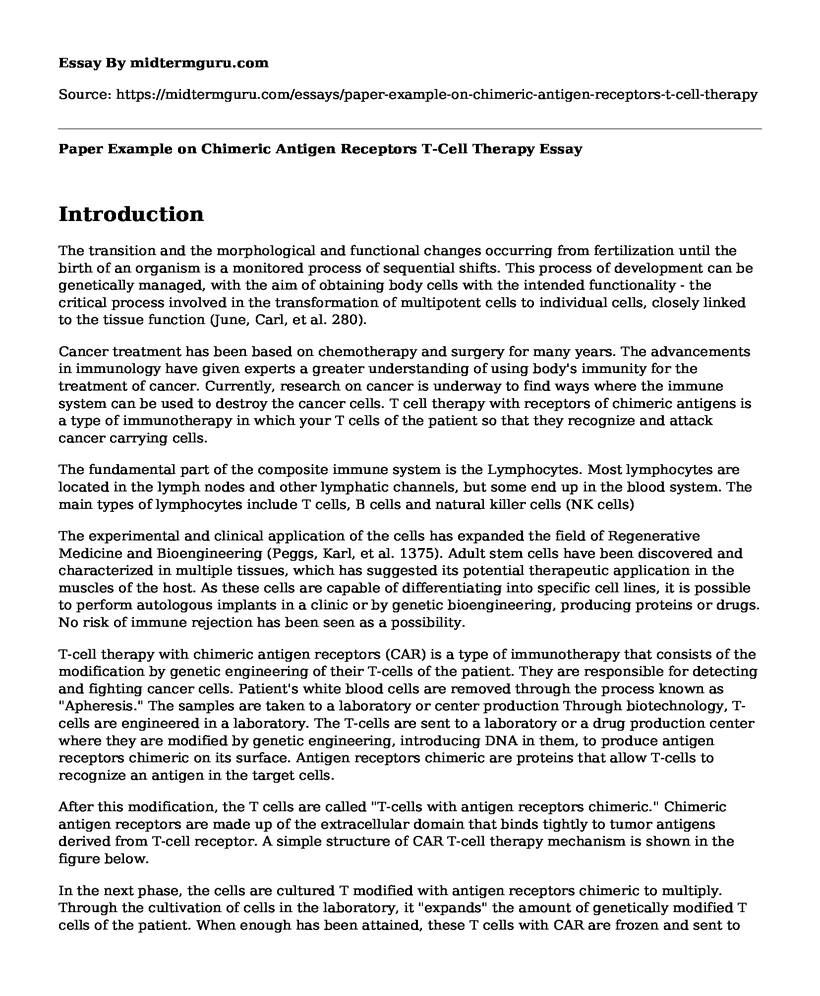 Paper Example on Chimeric Antigen Receptors T-Cell Therapy