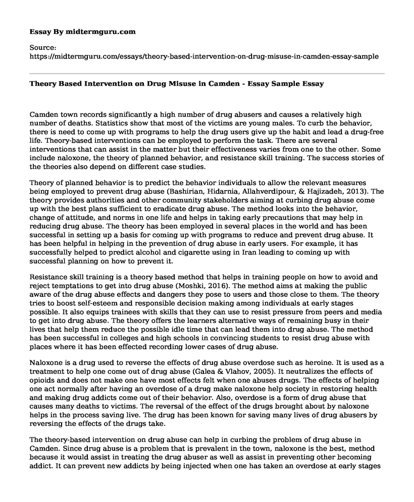 Theory Based Intervention on Drug Misuse in Camden - Essay Sample
