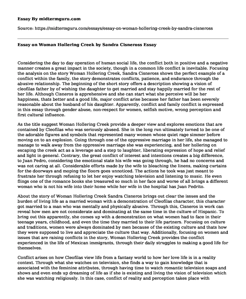 Essay on Woman Hollering Creek by Sandra Cisneross