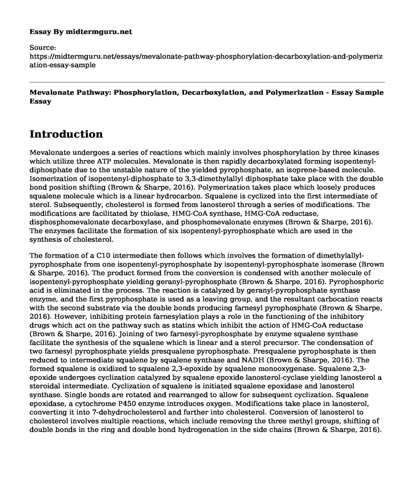 Mevalonate Pathway: Phosphorylation, Decarboxylation, and Polymerization - Essay Sample