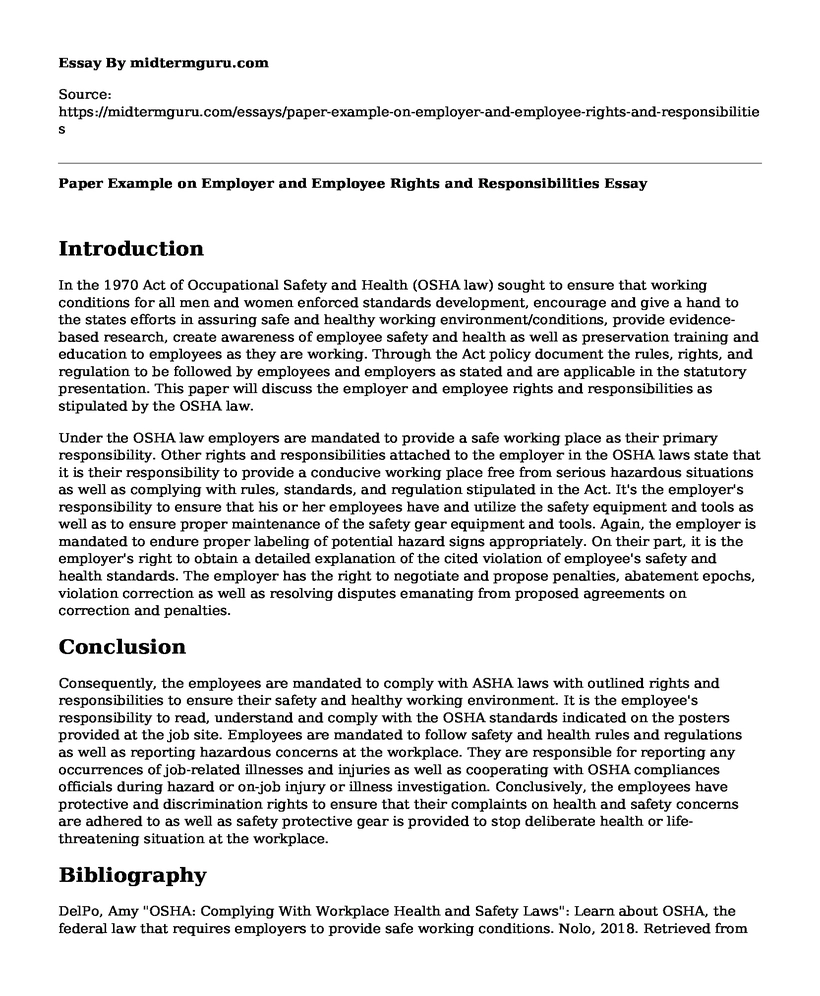 Paper Example on Employer and Employee Rights and Responsibilities