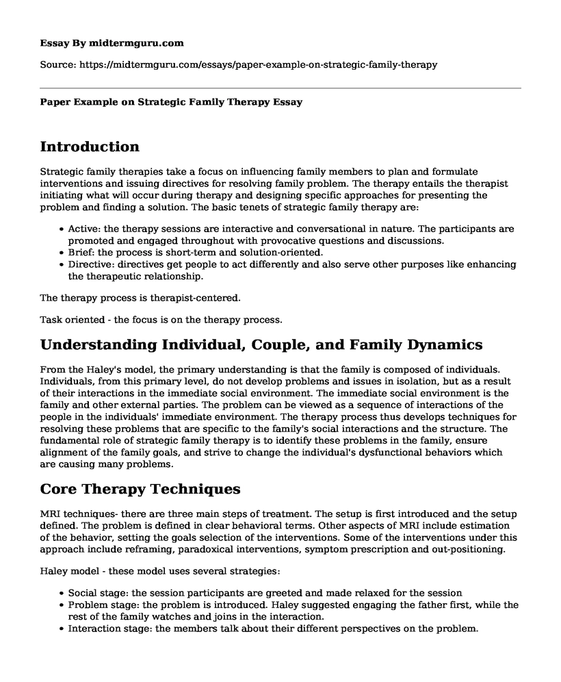 Paper Example on Strategic Family Therapy