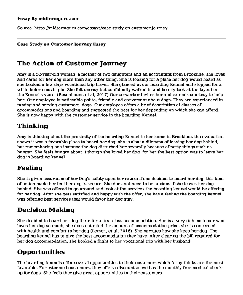 Case Study on Customer Journey