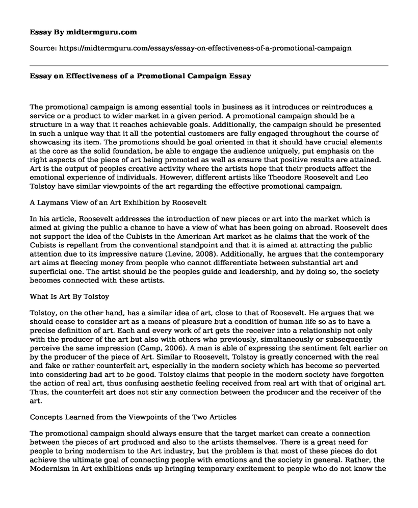 Essay on Effectiveness of a Promotional Campaign