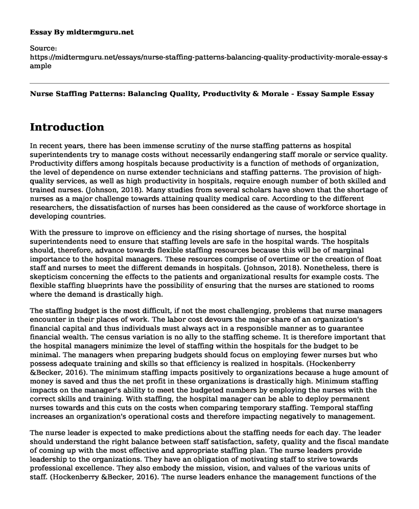Nurse Staffing Patterns: Balancing Quality, Productivity & Morale - Essay Sample