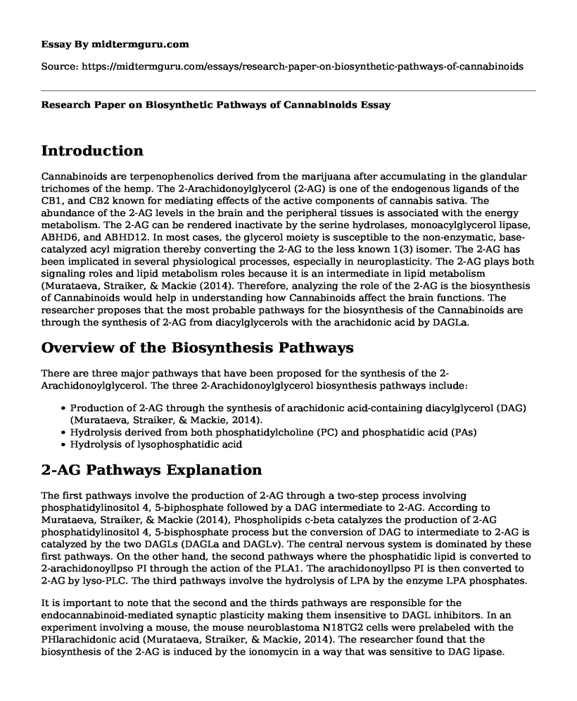 Research Paper on Biosynthetic Pathways of Cannabinoids