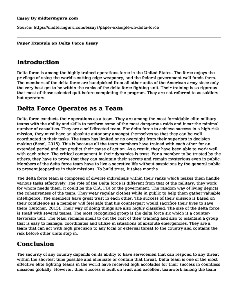 Paper Example on Delta Force