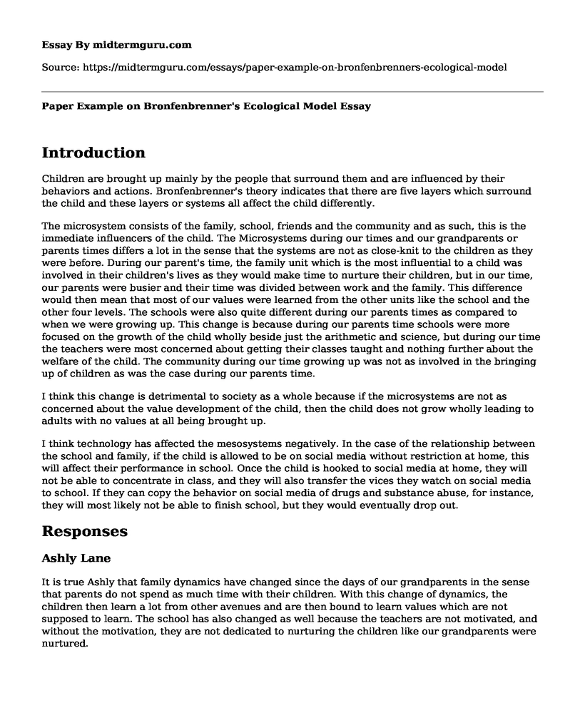 📗 Paper Example on Bronfenbrenner's Ecological Model - Free Essay, Term ...