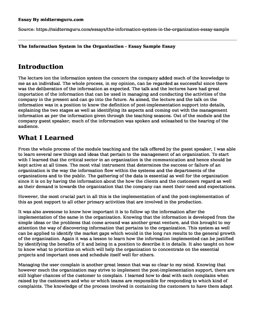 The Information System in the Organization - Essay Sample