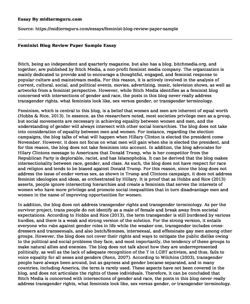 Feminist Blog Review Paper Sample