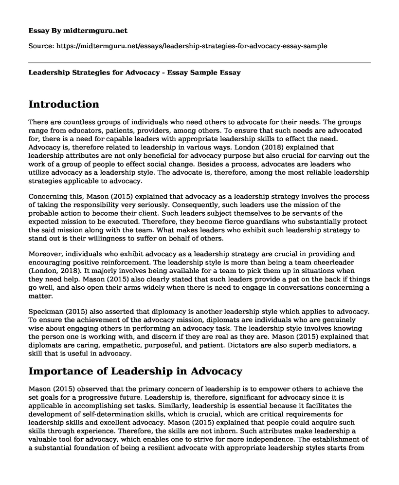 Leadership Strategies for Advocacy - Essay Sample