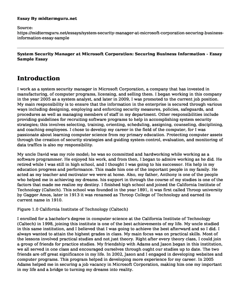 System Security Manager at Microsoft Corporation: Securing Business Information - Essay Sample