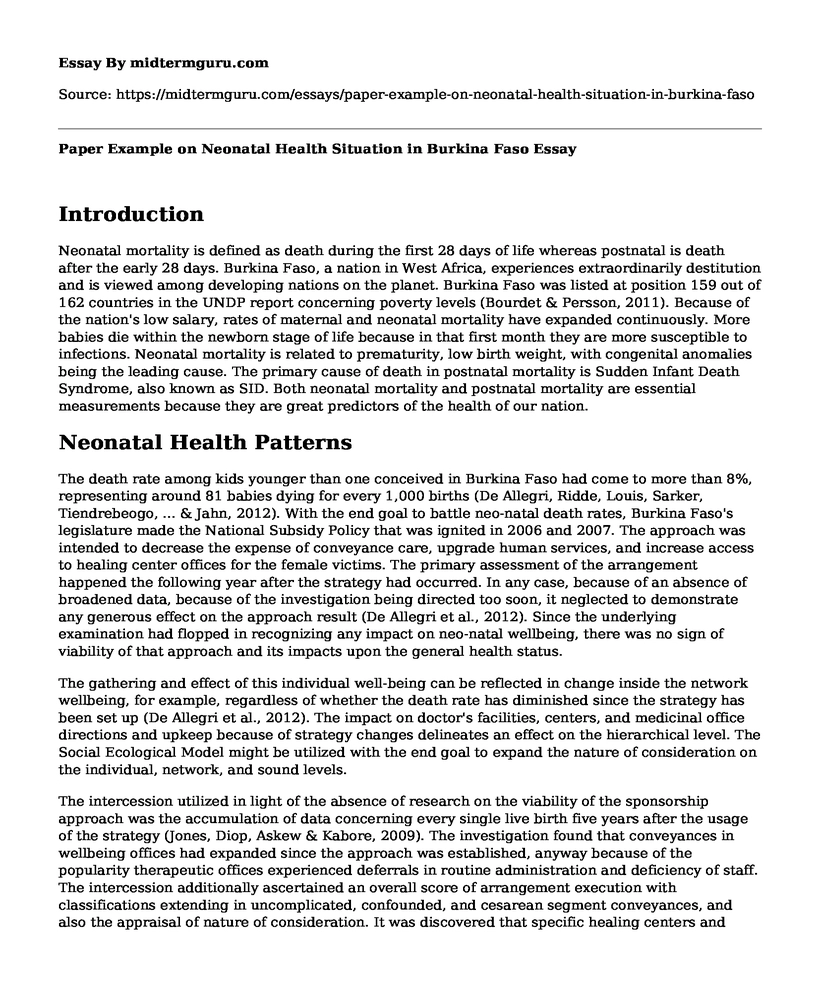 Paper Example on Neonatal Health Situation in Burkina Faso