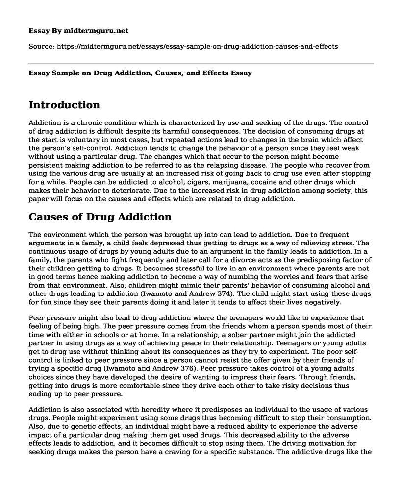 Essay Sample on Drug Addiction, Causes, and Effects