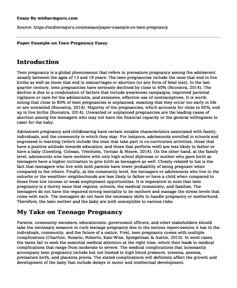 Paper Example on Teen Pregnancy