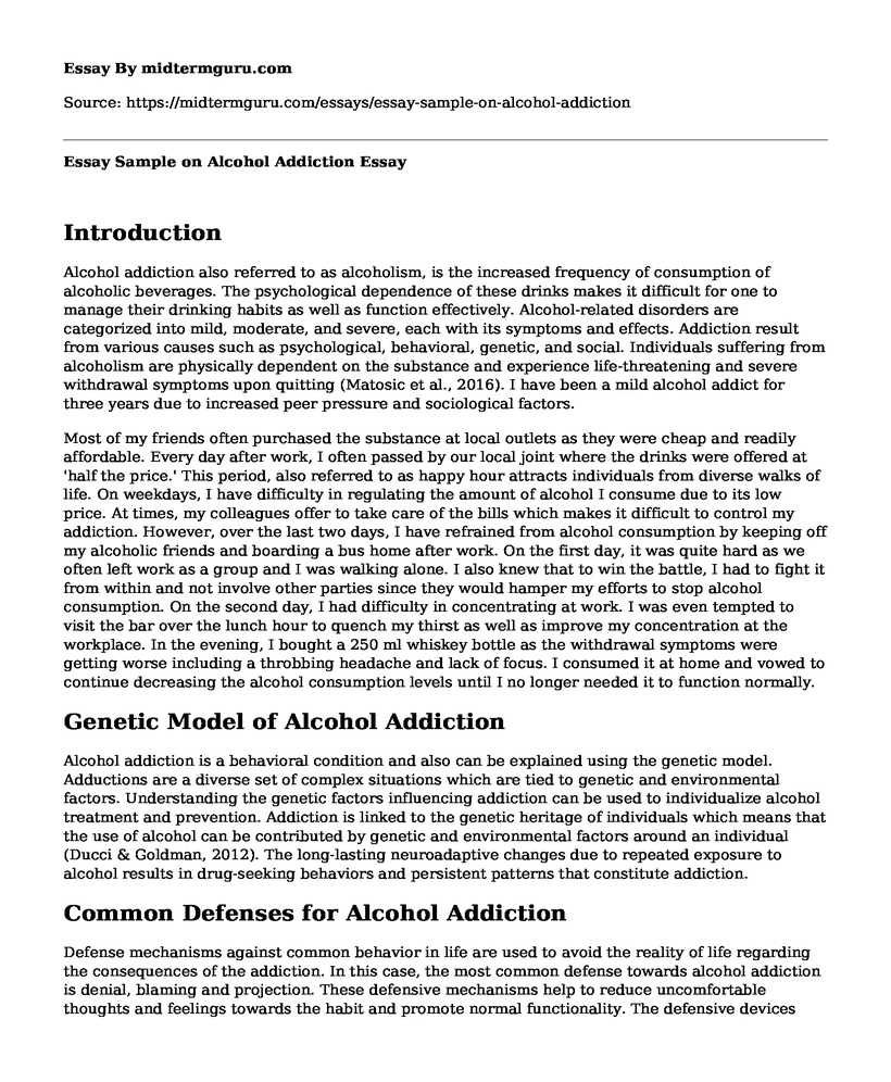 Essay Sample on Alcohol Addiction