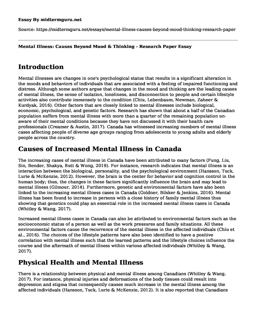 Mental Illness: Causes Beyond Mood & Thinking - Research Paper