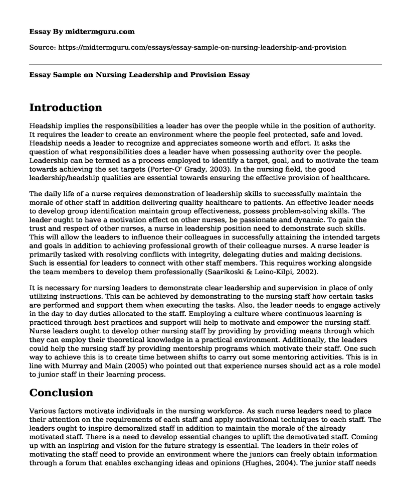 Essay Sample on Nursing Leadership and Provision