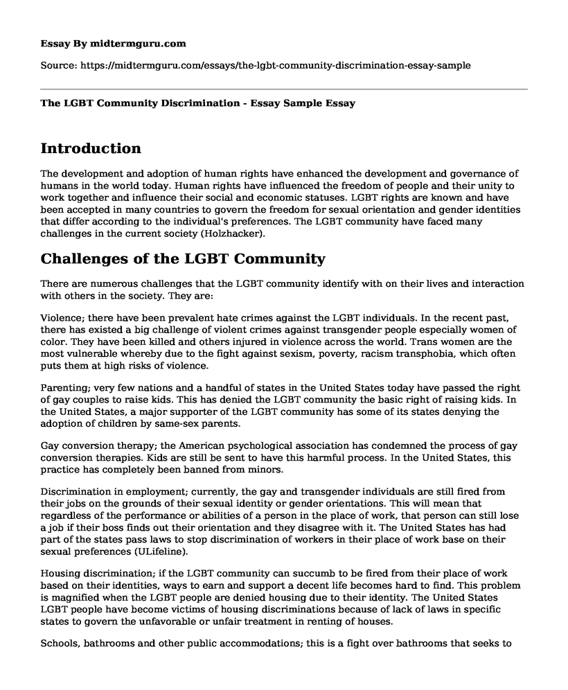 The LGBT Community Discrimination - Essay Sample