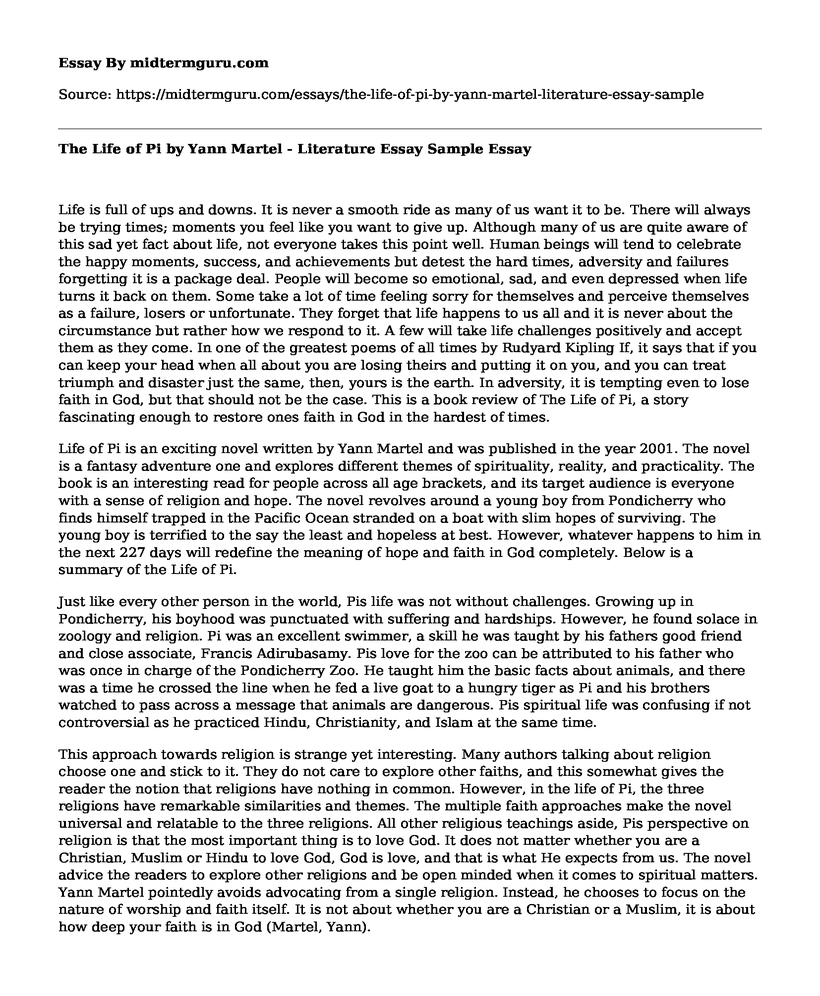 The Life of Pi  by Yann Martel - Literature Essay Sample