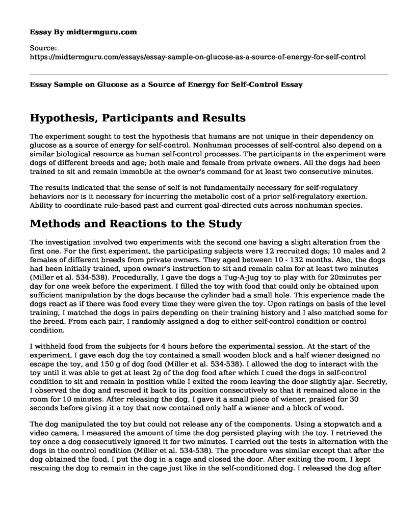 Essay Sample on Glucose as a Source of Energy for Self-Control